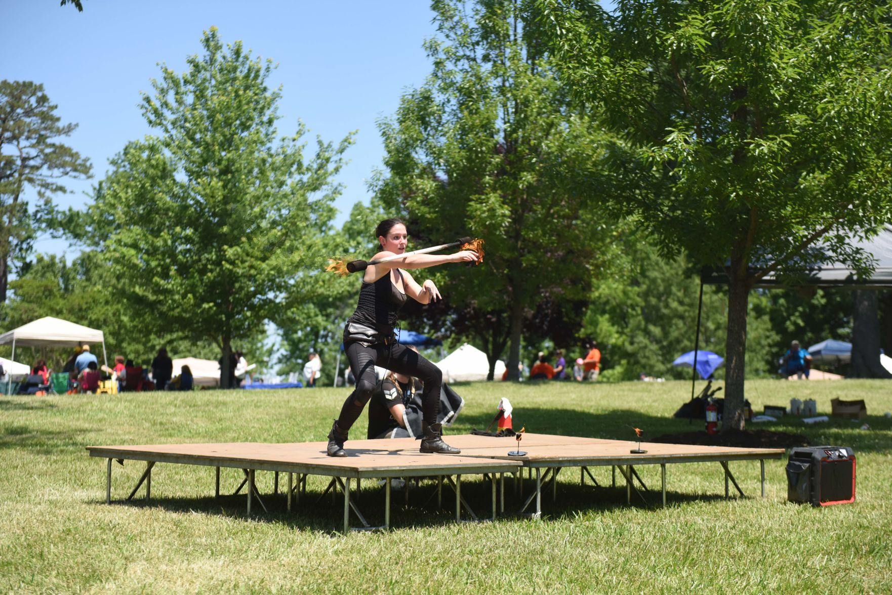 Festival in the Park